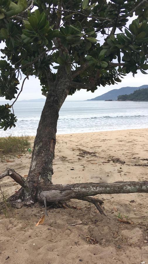 Recanto Maciel Casa Rustica Em Meio Da Natureza Proximo A Trilhas Cachoeira Ubatuba